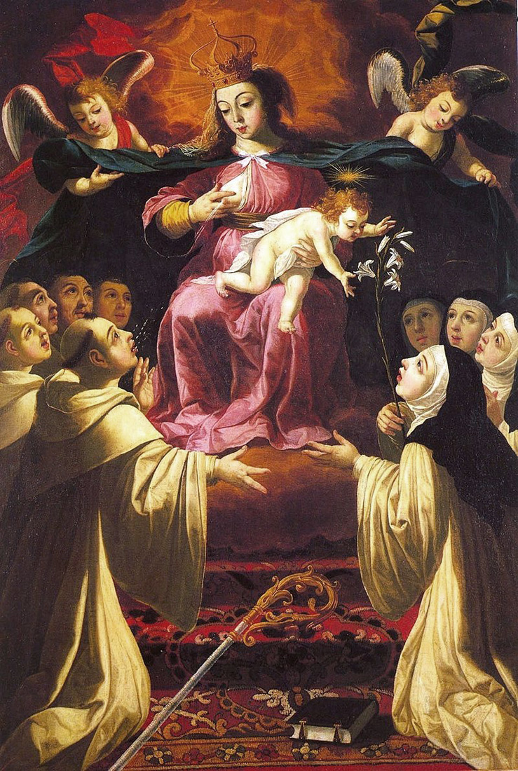 lactation of saint bernard